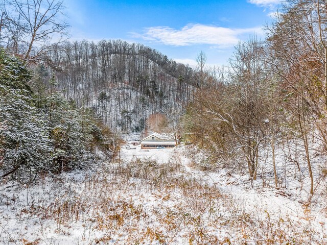 245 Fox Branch Rd, Kyles Ford, TN 37765 - snowy view featuring a wooded view