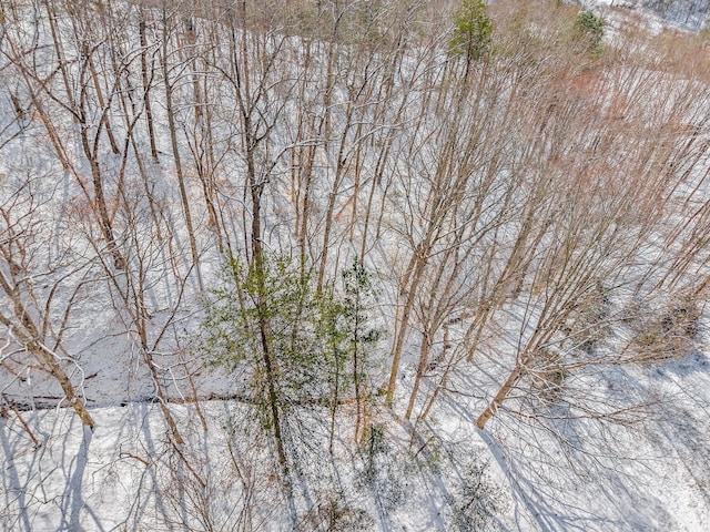 245 Fox Branch Rd, Kyles Ford, TN 37765 - view of snowy aerial view