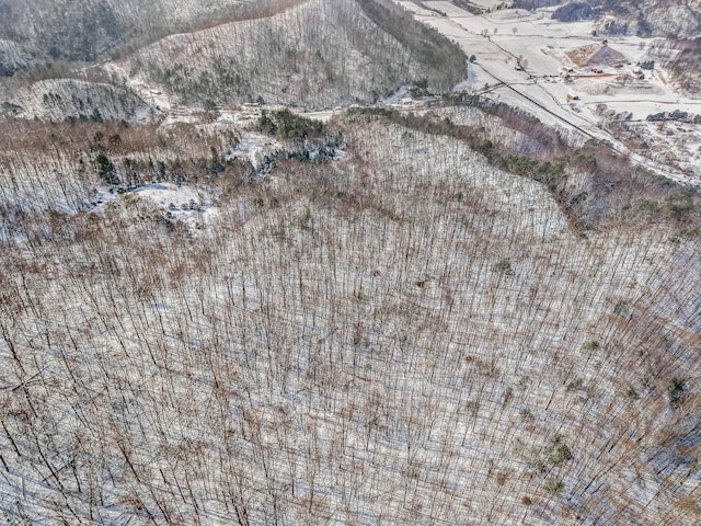 245 Fox Branch Rd, Kyles Ford, TN 37765 - aerial view of property and surrounding area