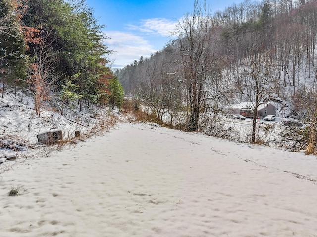 245 Fox Branch Rd, Kyles Ford, TN 37765 - view of yard layered in snow