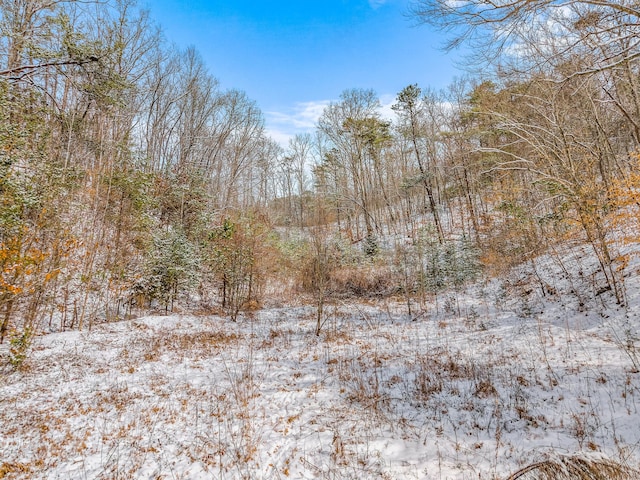 245 Fox Branch Rd, Kyles Ford, TN 37765 - snowy view