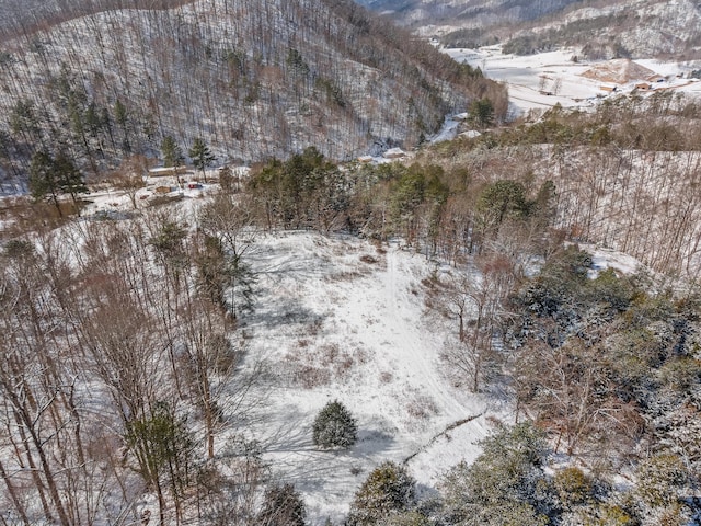 245 Fox Branch Rd, Kyles Ford, TN 37765 - snowy aerial view with a mountain view