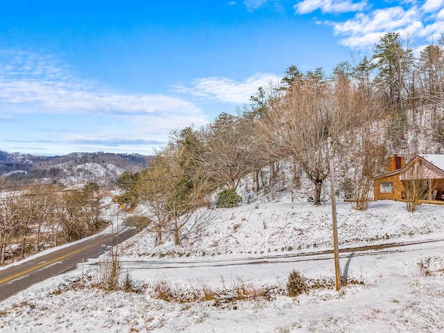 245 Fox Branch Rd, Kyles Ford, TN 37765 - yard layered in snow featuring a mountain view
