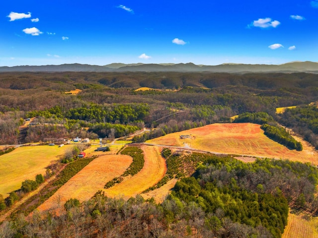 LOT6 Lonesome Pine Rd, Bybee, TN 37713 - photo 3