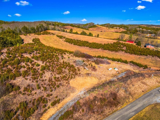 LOT6 Lonesome Pine Rd, Bybee, TN 37713 - photo 4