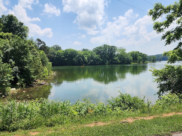 4110 Harbor View Dr, Morristown, TN 37814 - photo 17