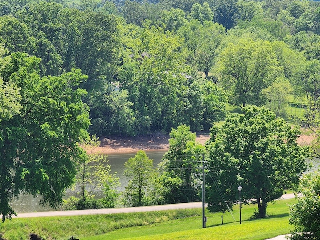 4110 Harbor View Dr, Morristown, TN 37814 - water view