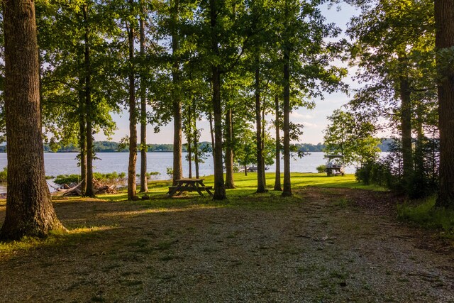 1523 Cherry Brook Dr, Dandridge, TN 37725 - photo 5