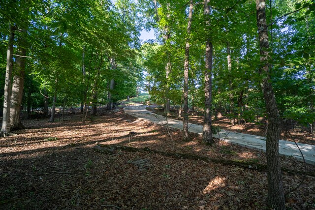 1523 Cherry Brook Dr, Dandridge, TN 37725 - photo 23