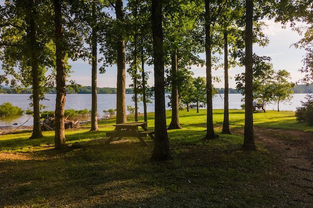 1523 Cherry Brook Dr, Dandridge, TN 37725 - photo 6