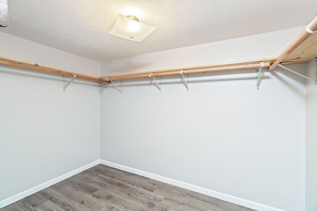 walk in closet with dark wood-type flooring