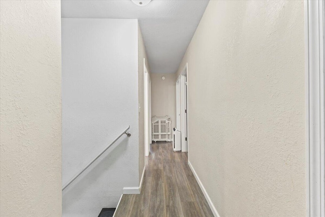 hallway with dark hardwood / wood-style floors and radiator heating unit