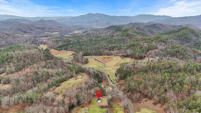 aerial view with a mountain view