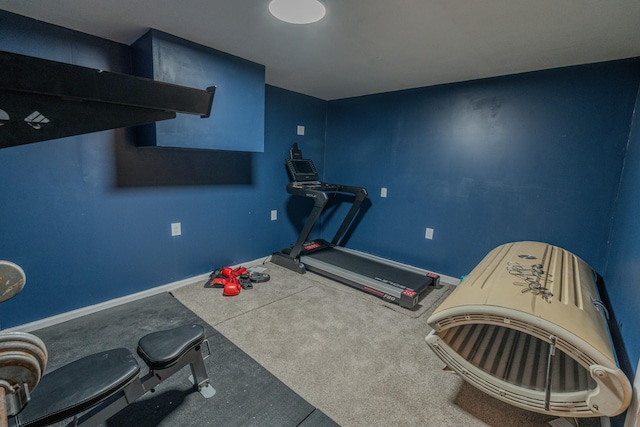 workout area featuring carpet