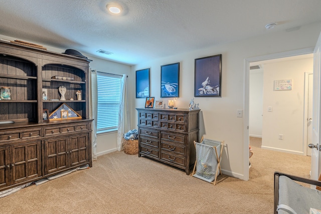 interior space with light colored carpet and a textured ceiling