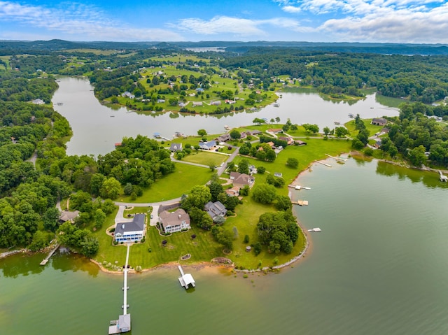 1114 Lake Ridge Dr, Dandridge, TN 37725 - bird's eye view of a large body of water and a heavily wooded area