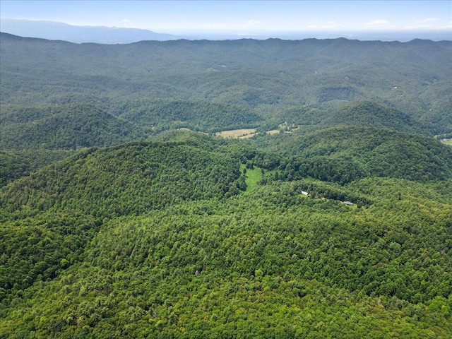 2266 Sol Mountain Rd, Del Rio, TN 37727