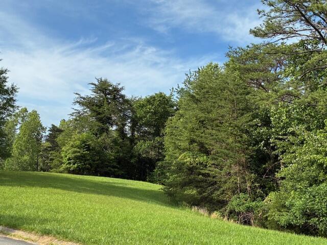 LOT17 Waterstone Dr, Dandridge, TN 37725