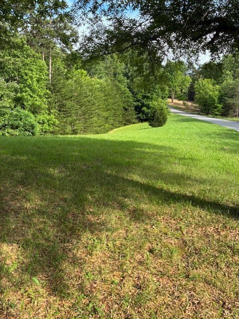 LOT17 Waterstone Dr, Dandridge, TN 37725