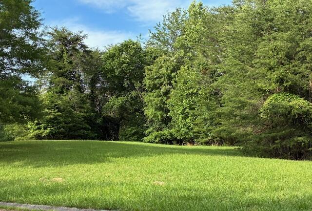 LOT17 Waterstone Dr, Dandridge, TN 37725