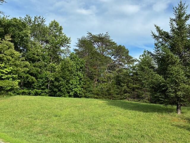 LOT17 Waterstone Dr, Dandridge, TN 37725