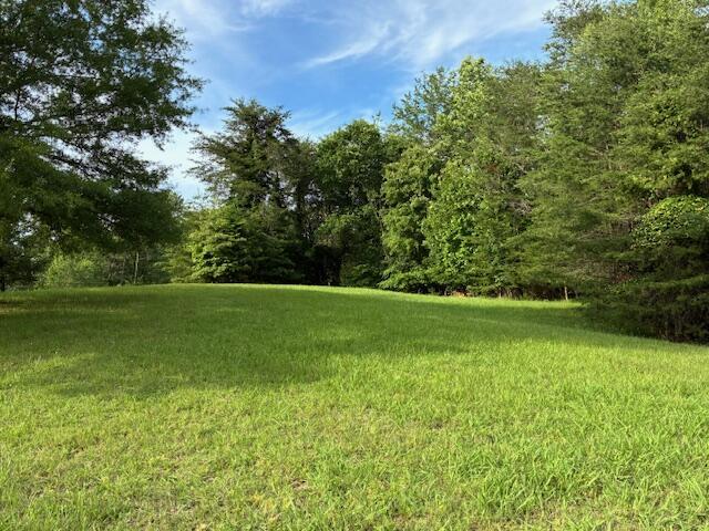 LOT17 Waterstone Dr, Dandridge, TN 37725