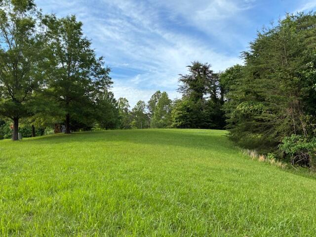 LOT17 Waterstone Dr, Dandridge, TN 37725