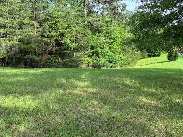LOT17 Waterstone Dr, Dandridge, TN 37725