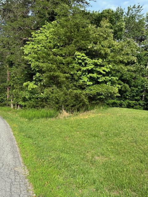 LOT17 Waterstone Dr, Dandridge, TN 37725