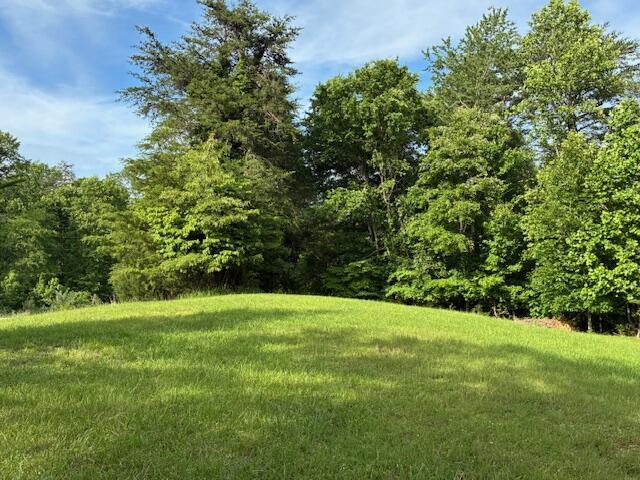 LOT17 Waterstone Dr, Dandridge, TN 37725