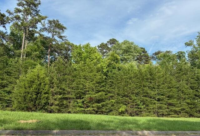 LOT17 Waterstone Dr, Dandridge, TN 37725