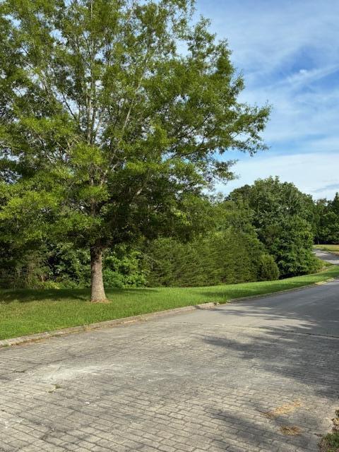 LOT17 Waterstone Dr, Dandridge, TN 37725