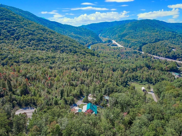 birds eye view of property featuring a mountain view