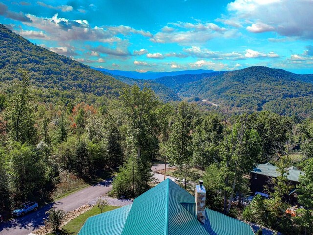 bird's eye view with a mountain view