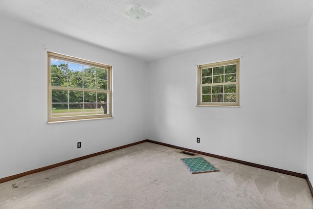 325 Mcneil Cir, Mooresburg, TN 37811 - photo 37