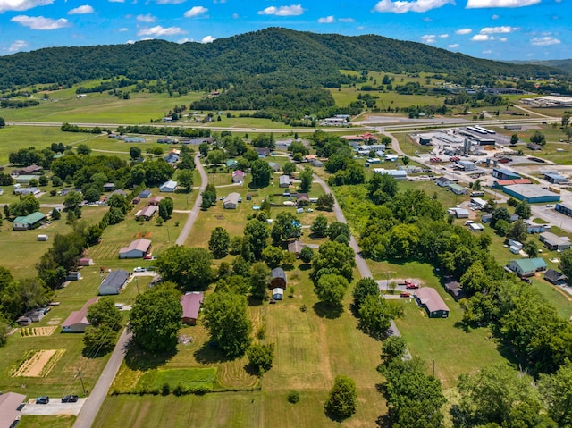 325 Mcneil Cir, Mooresburg, TN 37811 - photo 25