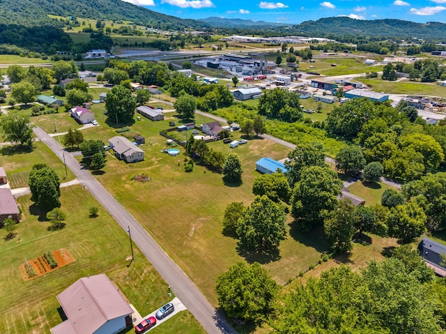 325 Mcneil Cir, Mooresburg, TN 37811 - photo 21
