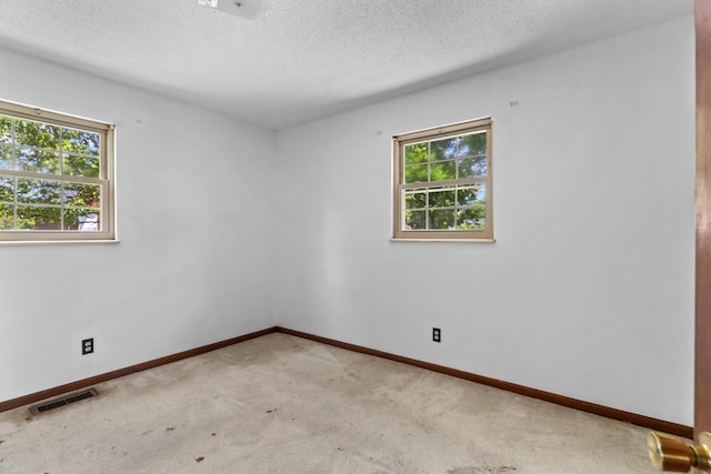 325 Mcneil Cir, Mooresburg, TN 37811 - photo 35