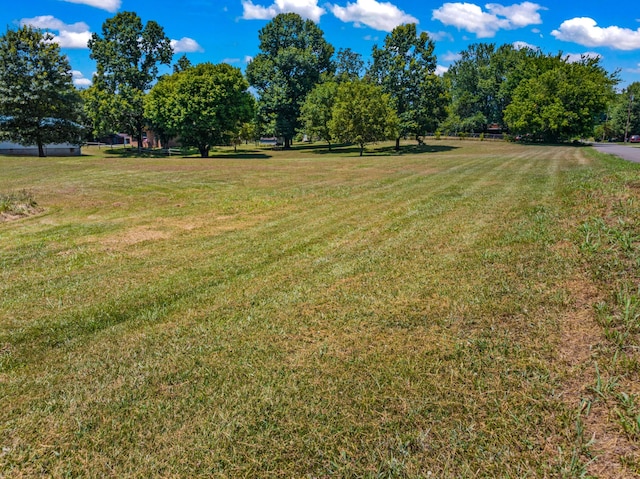 325 Mcneil Cir, Mooresburg, TN 37811 - photo 18