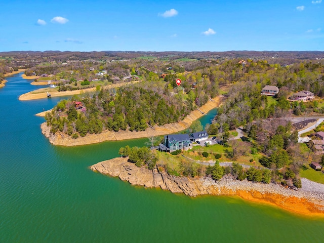 birds eye view of property with a water view and a forest view