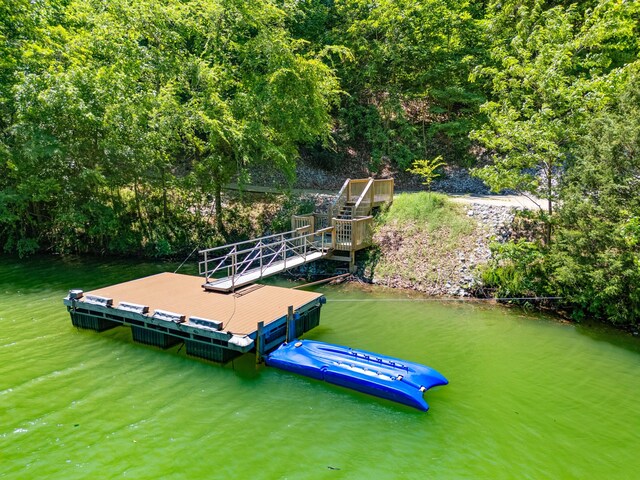429 Filet Ln, Dandridge, TN 37725 - birds eye view of property with a water view and a forest view