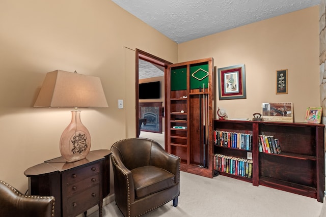 sitting room featuring carpet floors and a textured ceiling