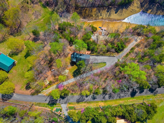 bird's eye view