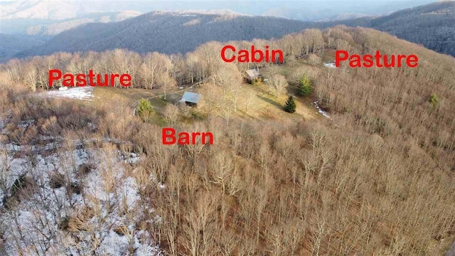 2965 Round Mountain Rd, Del Rio, TN 37727 - aerial view of a mountainous background