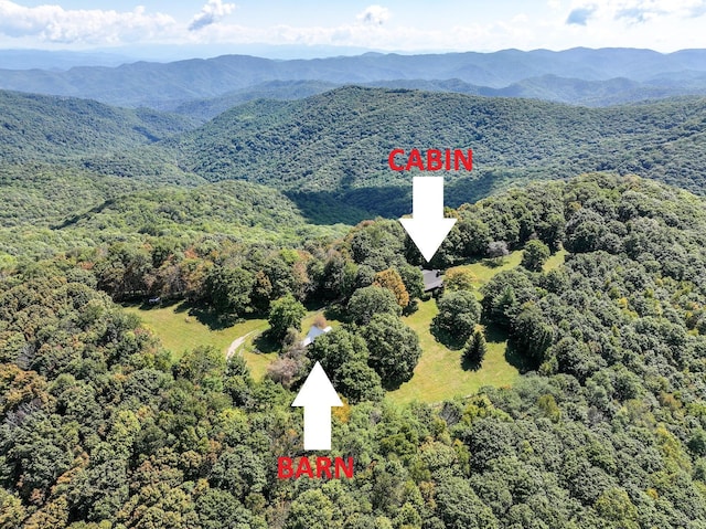 2965 Round Mountain Rd, Del Rio, TN 37727 - aerial view of a forest