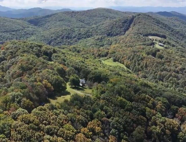 2965 Round Mountain Rd, Del Rio, TN 37727 - mountain view featuring a forest