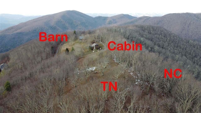 2965 Round Mountain Rd, Del Rio, TN 37727 - view of mountain background
