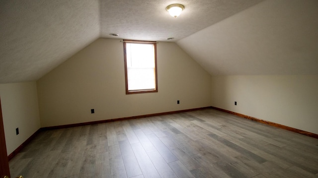158 Delph Ln, Mooresburg, TN 37811 - additional living space with wood finished floors, a textured ceiling, and vaulted ceiling
