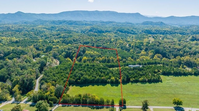 2355 Jim Henry Rd, Dandridge TN, 37725 land for sale