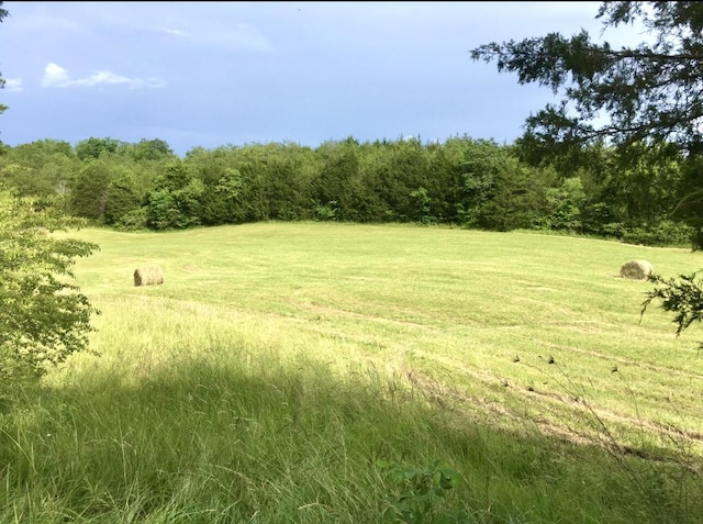 2355 Jim Henry Rd, Dandridge, TN 37725 - photo 1